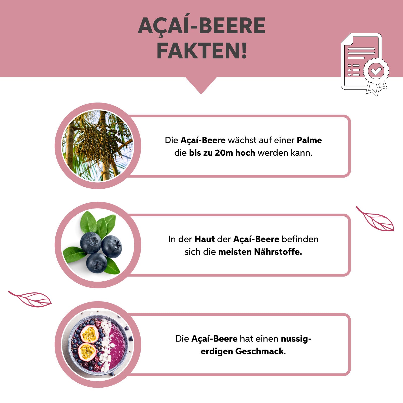 Açaí Pulver
