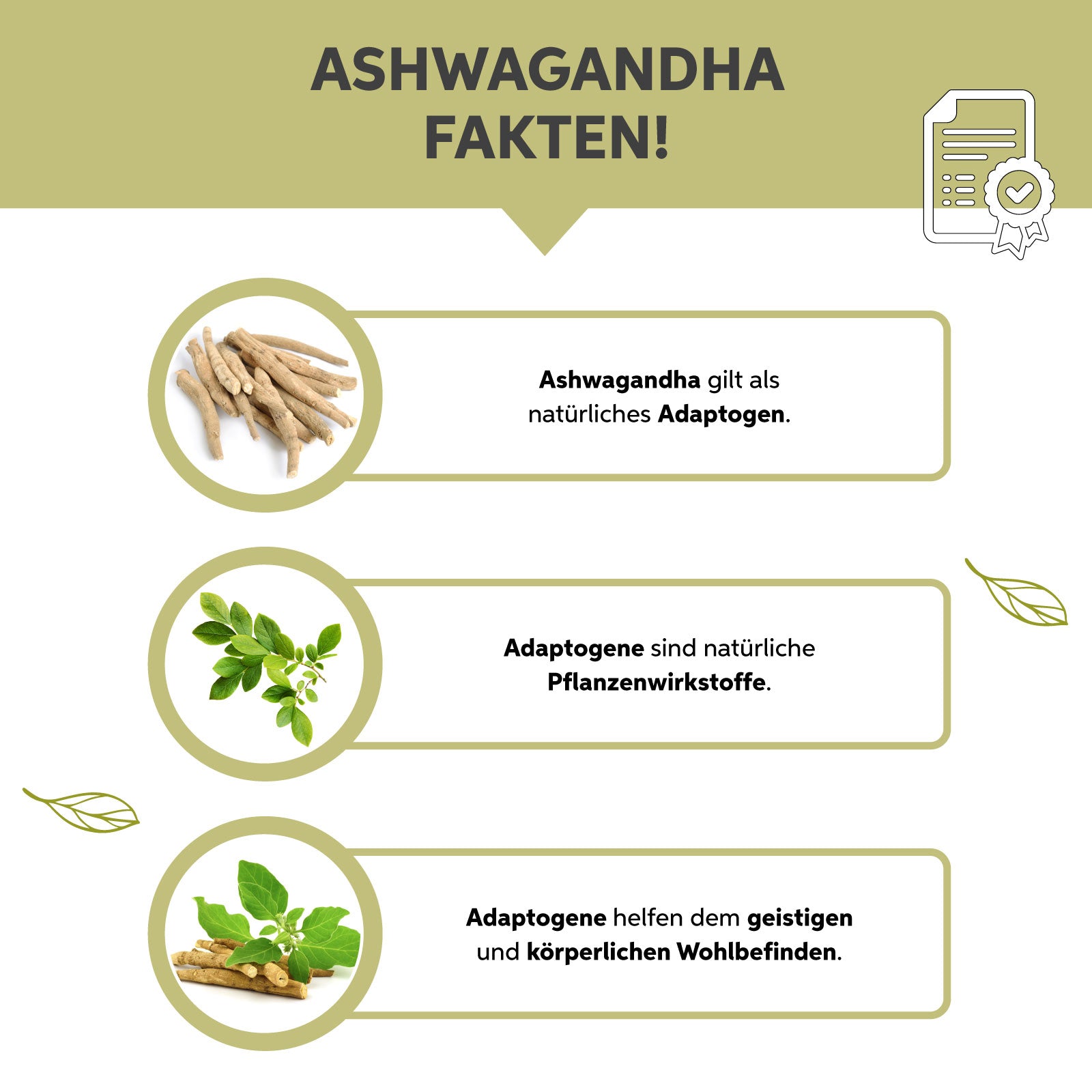 Bio-Ashwagandha Pulver