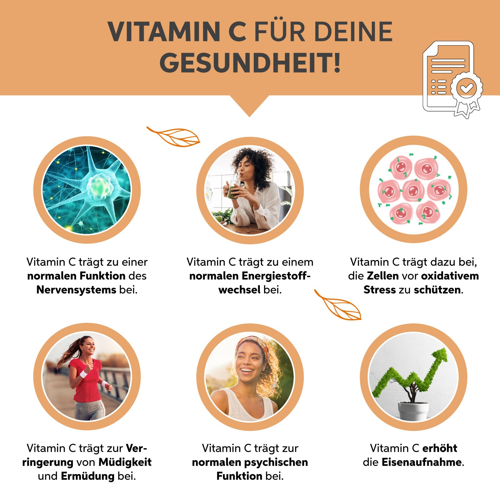 Bio Camu Camu Pulver - Sonnengetrocknet