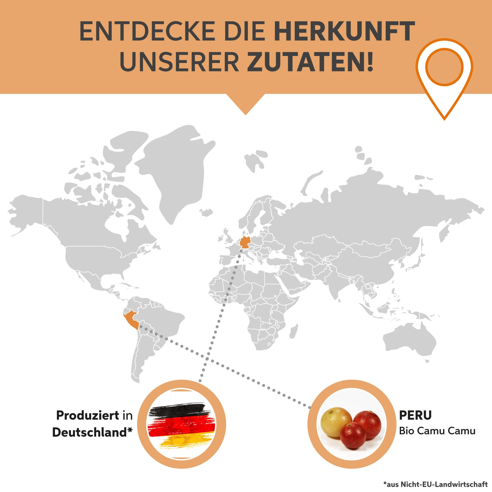 Bio-Camu Camu Pulver - Sonnengetrocknet