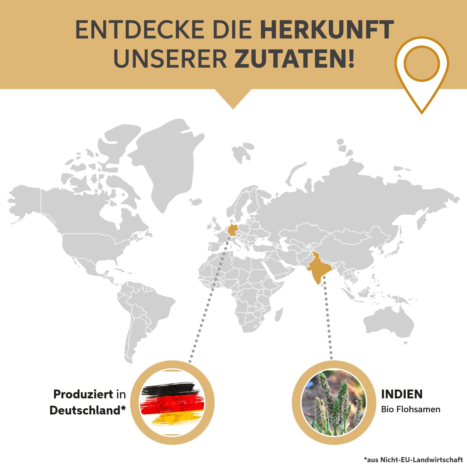 Bio Flohsamenschalen Pulver - 99% Reinheit