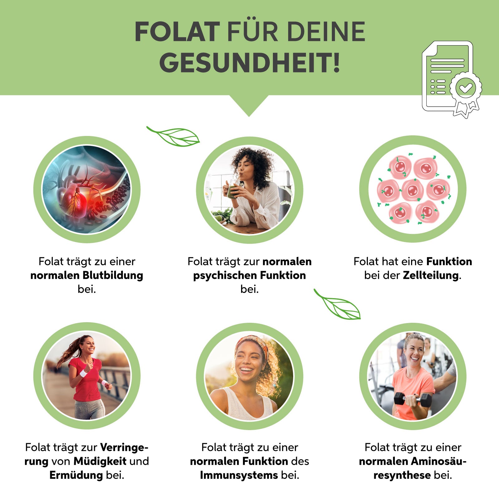 Bio Gerstengras Pulver