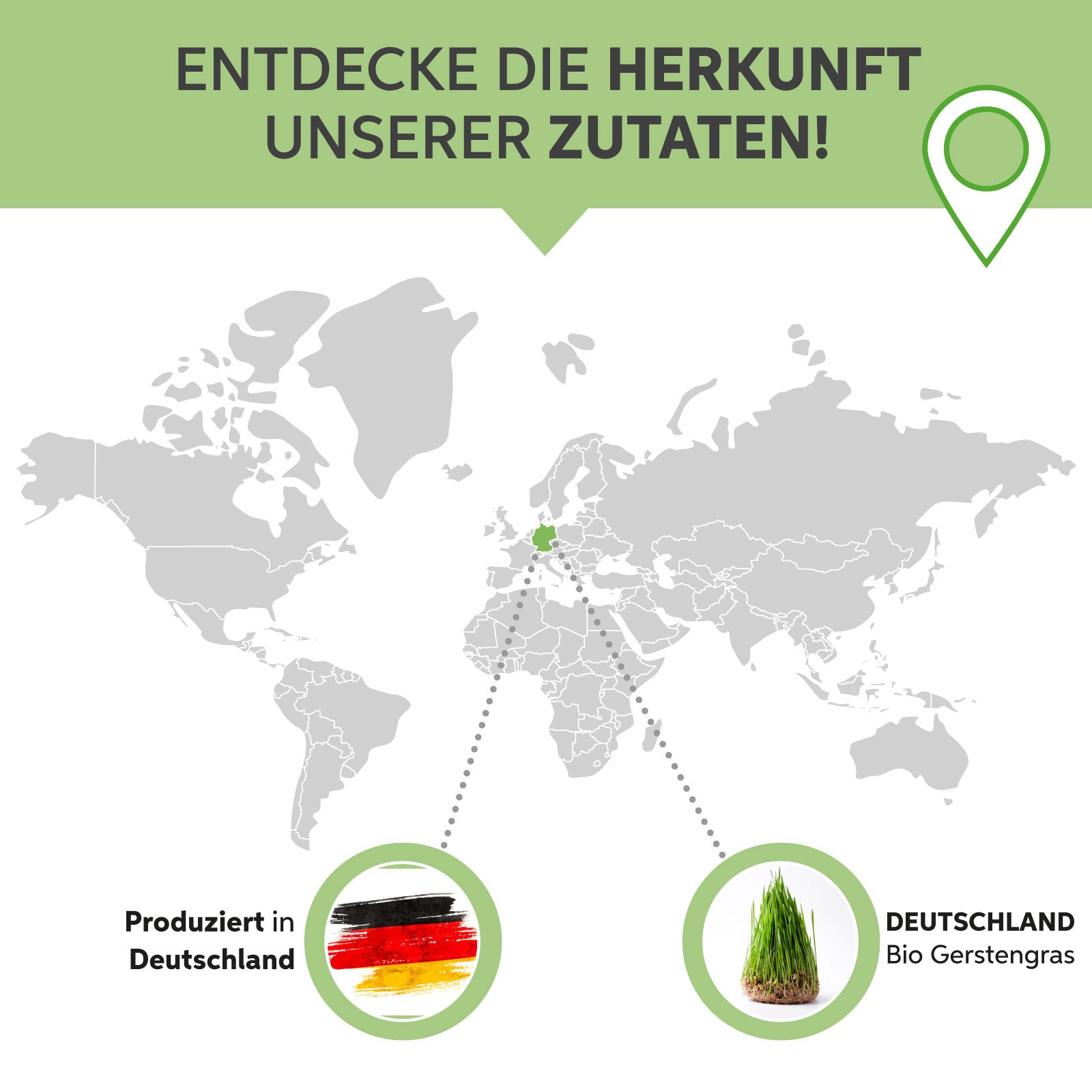 Bio Gerstengras Pulver