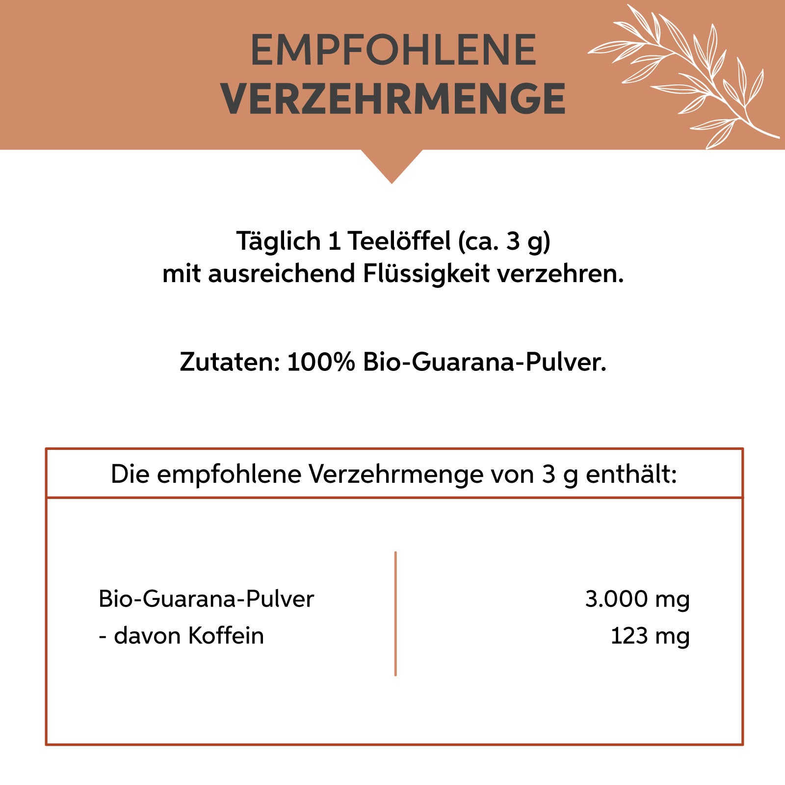 Bio Guarana Pulver