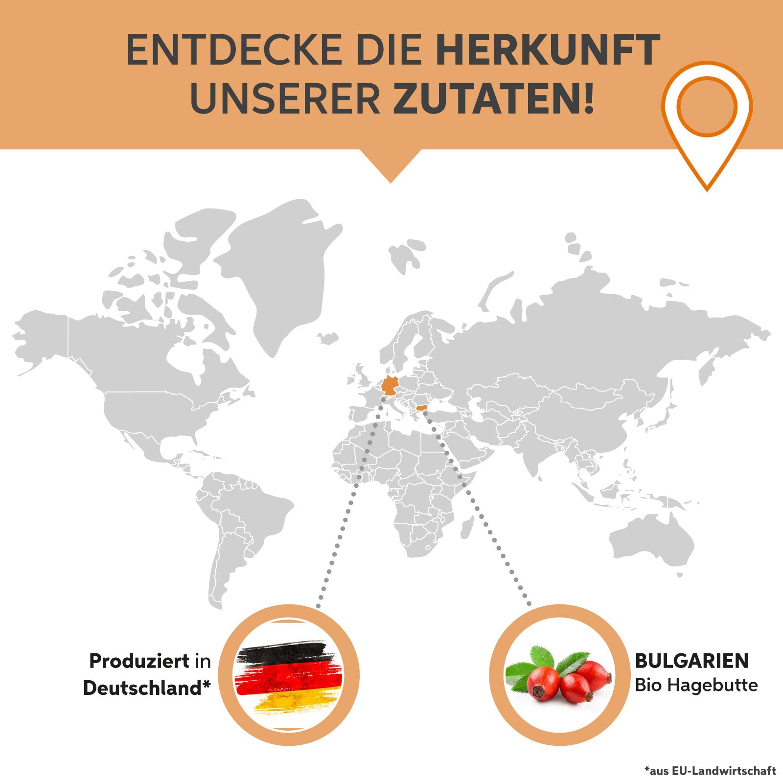 Bio Hagebutten Pulver