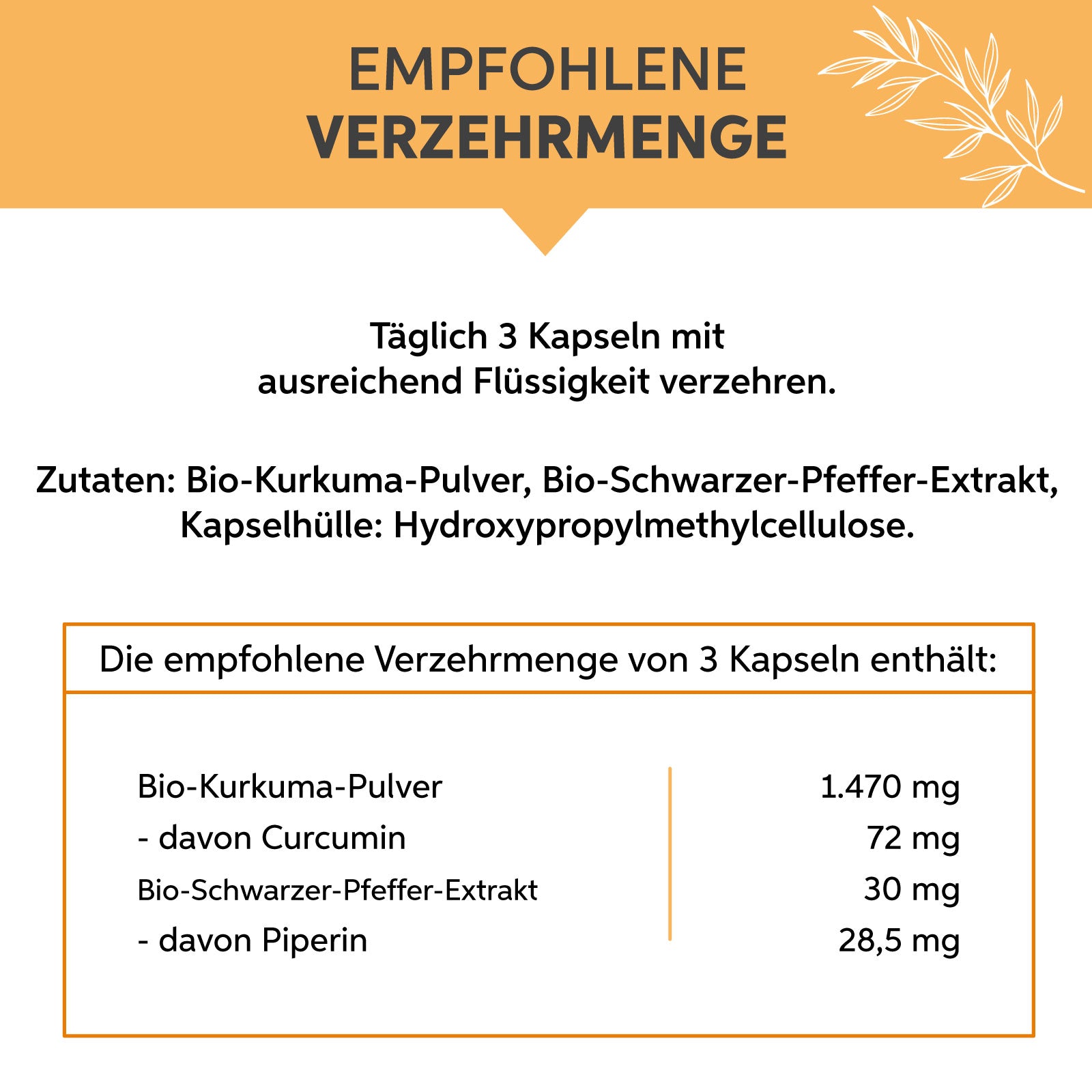 Bio Kurkuma Piperin Kapseln