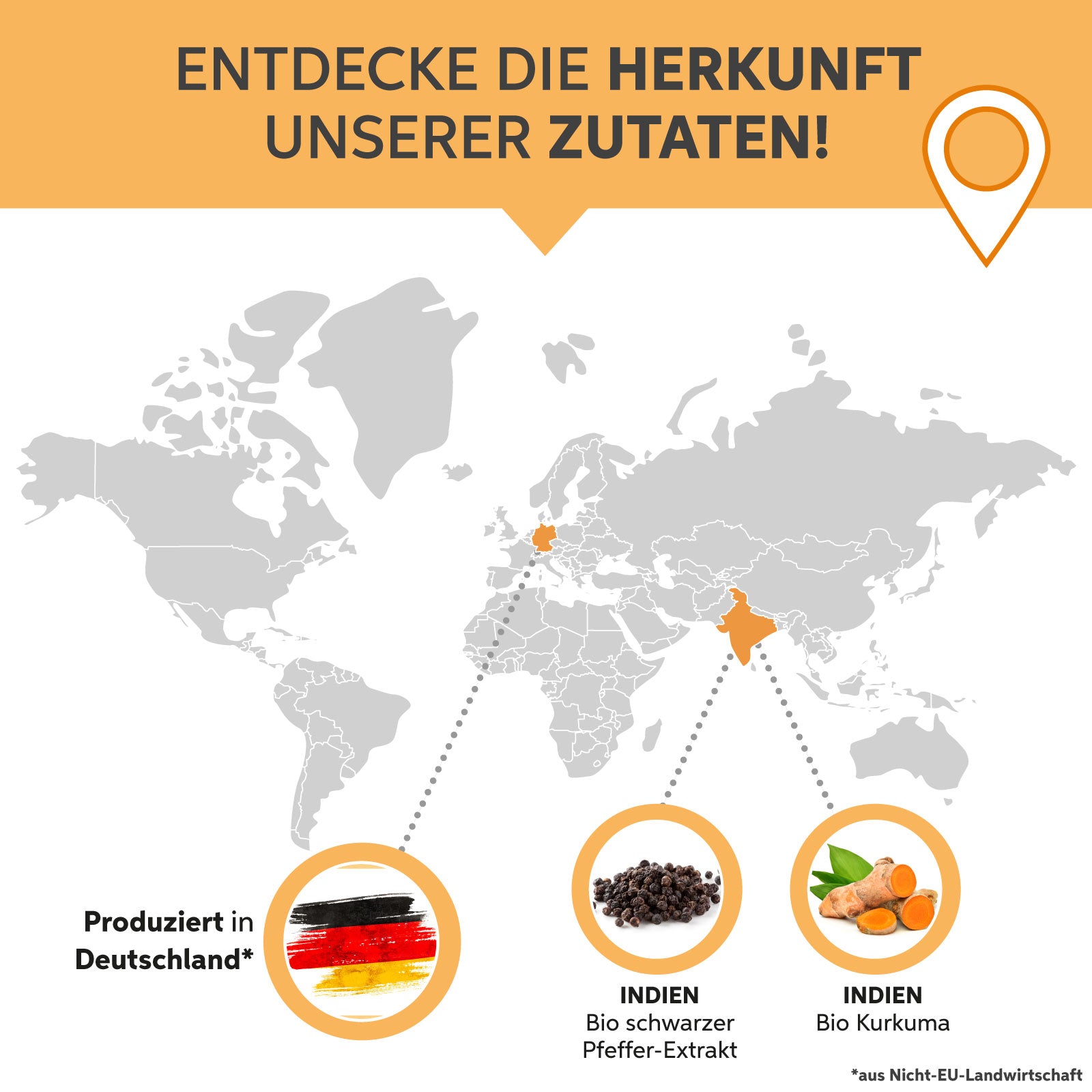 Bio Kurkuma Piperin Kapseln