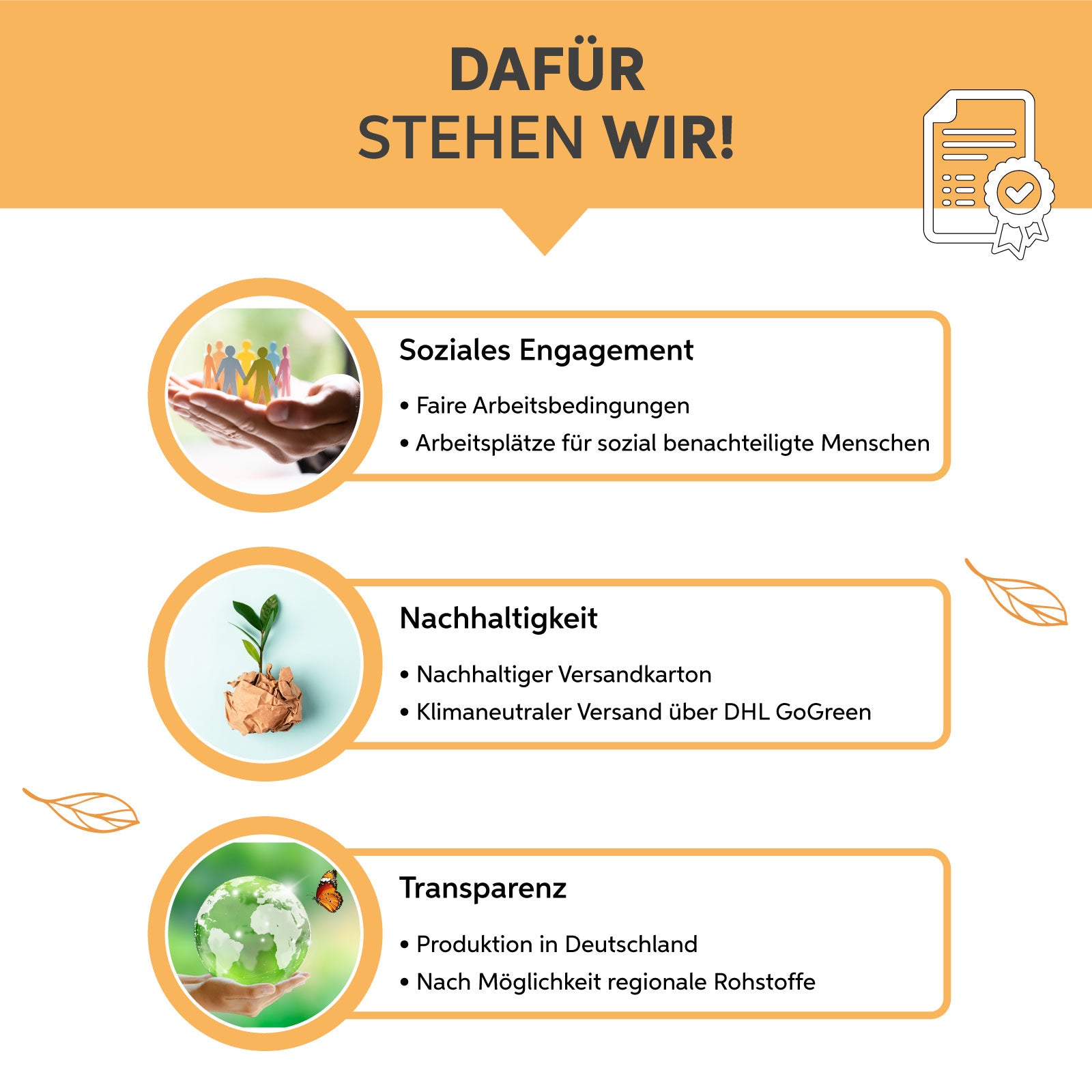 Bio Kurkuma Piperin Kapseln