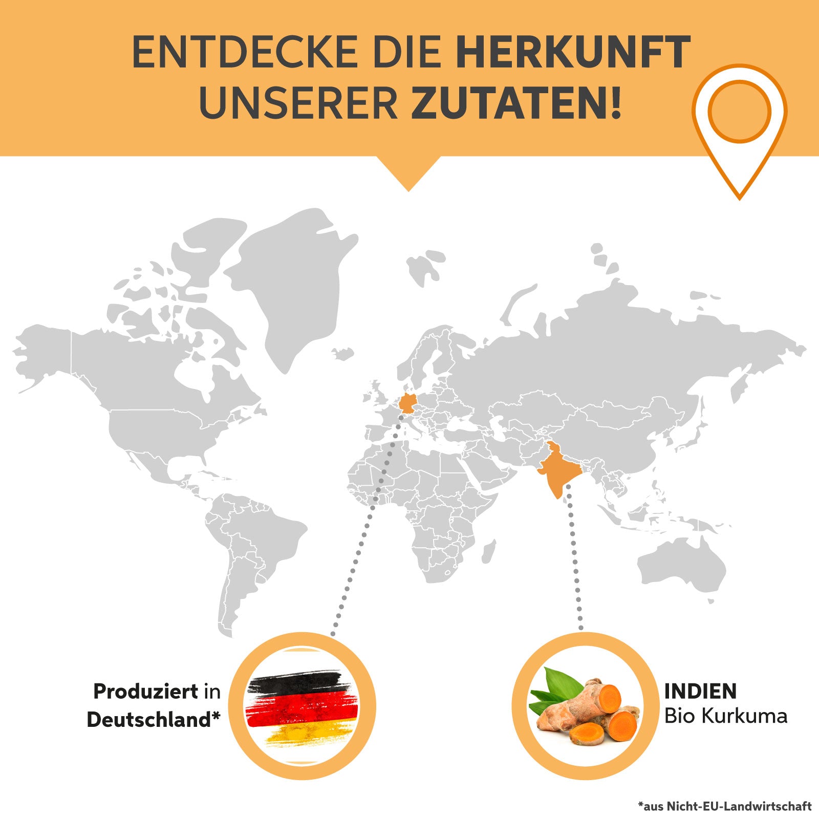 Bio Kurkuma Pulver
