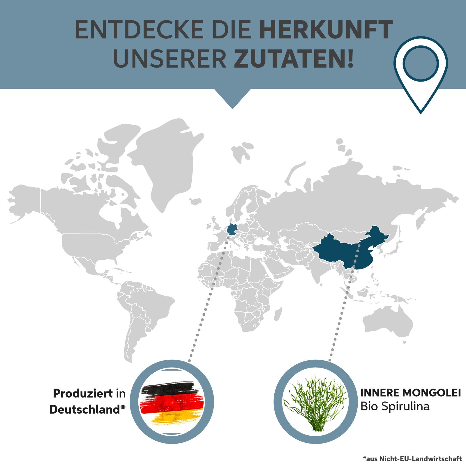 Bio Spirulina Pulver