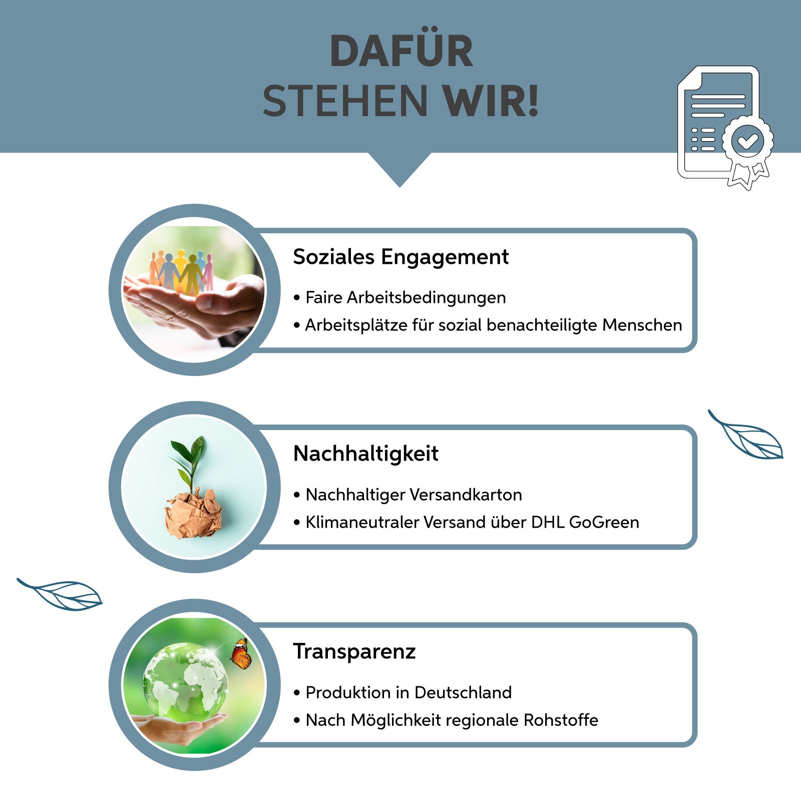 Bio Spirulina Pulver