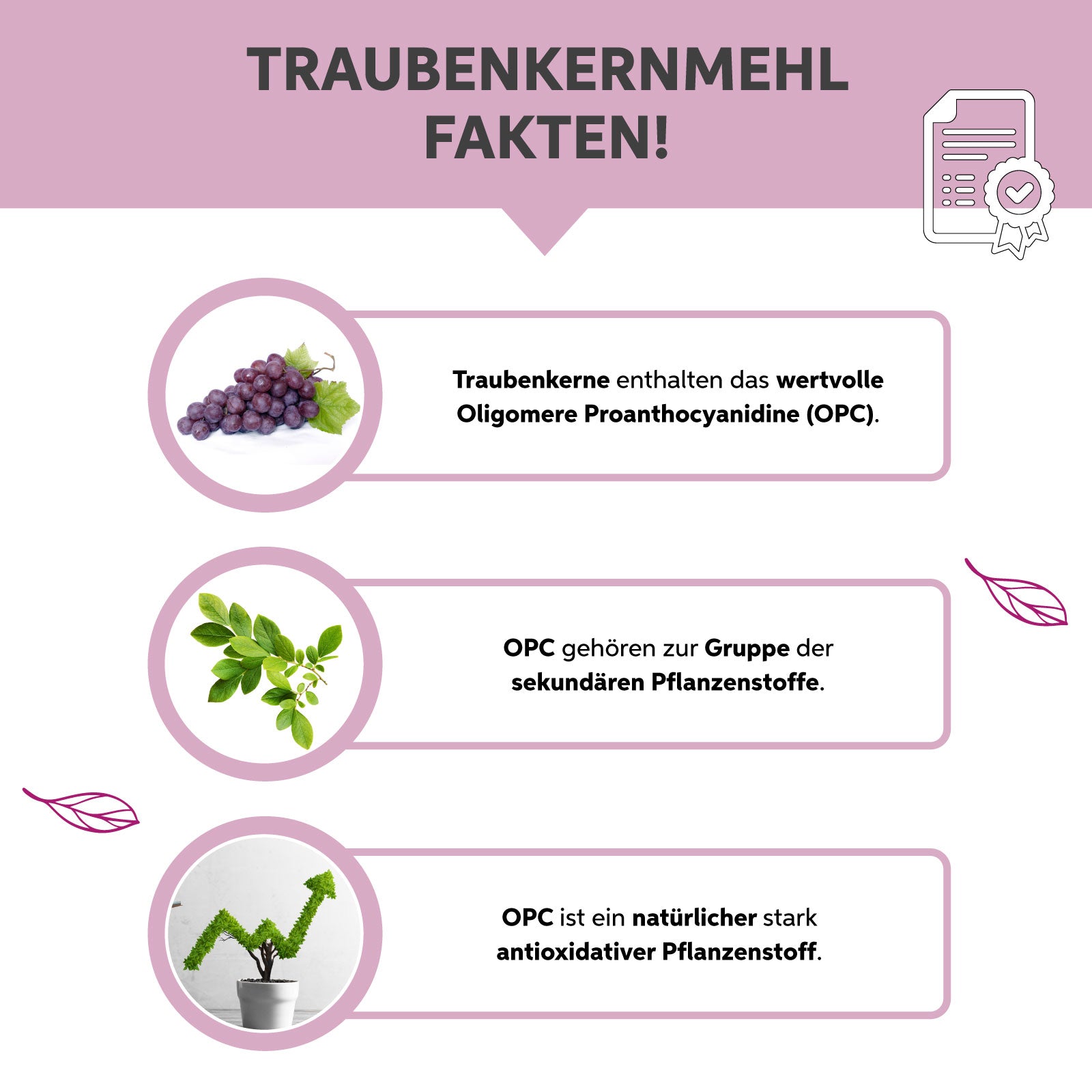 Bio Traubenkernmehl OPC