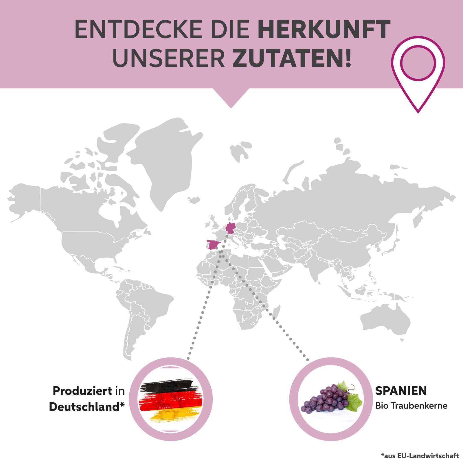Bio Traubenkernmehl OPC