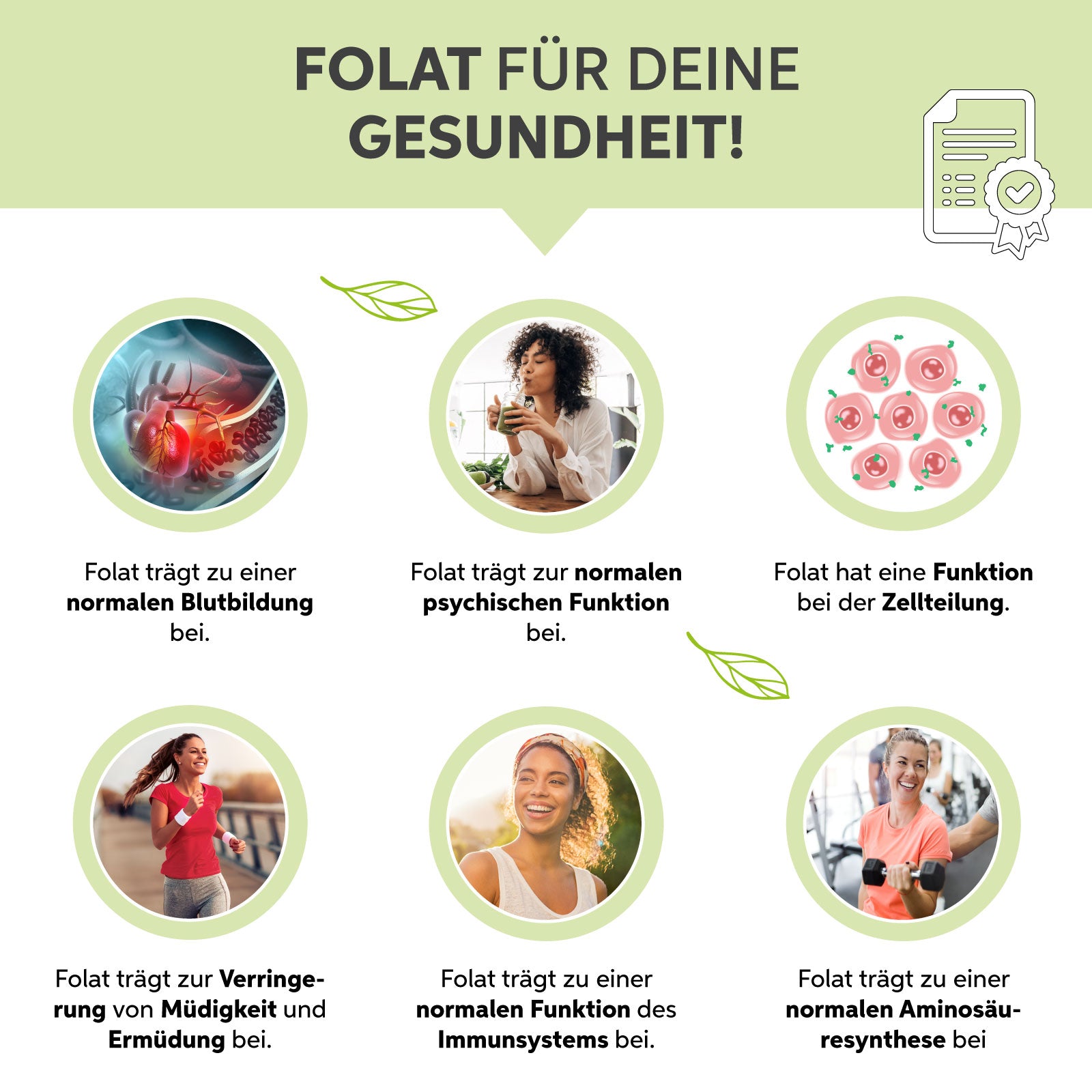 Bio-Weizengras Pulver