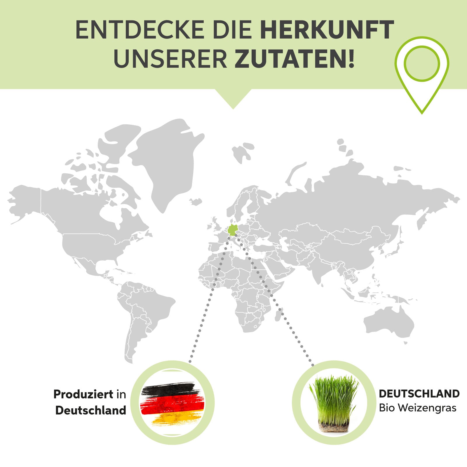 Bio-Weizengras Pulver