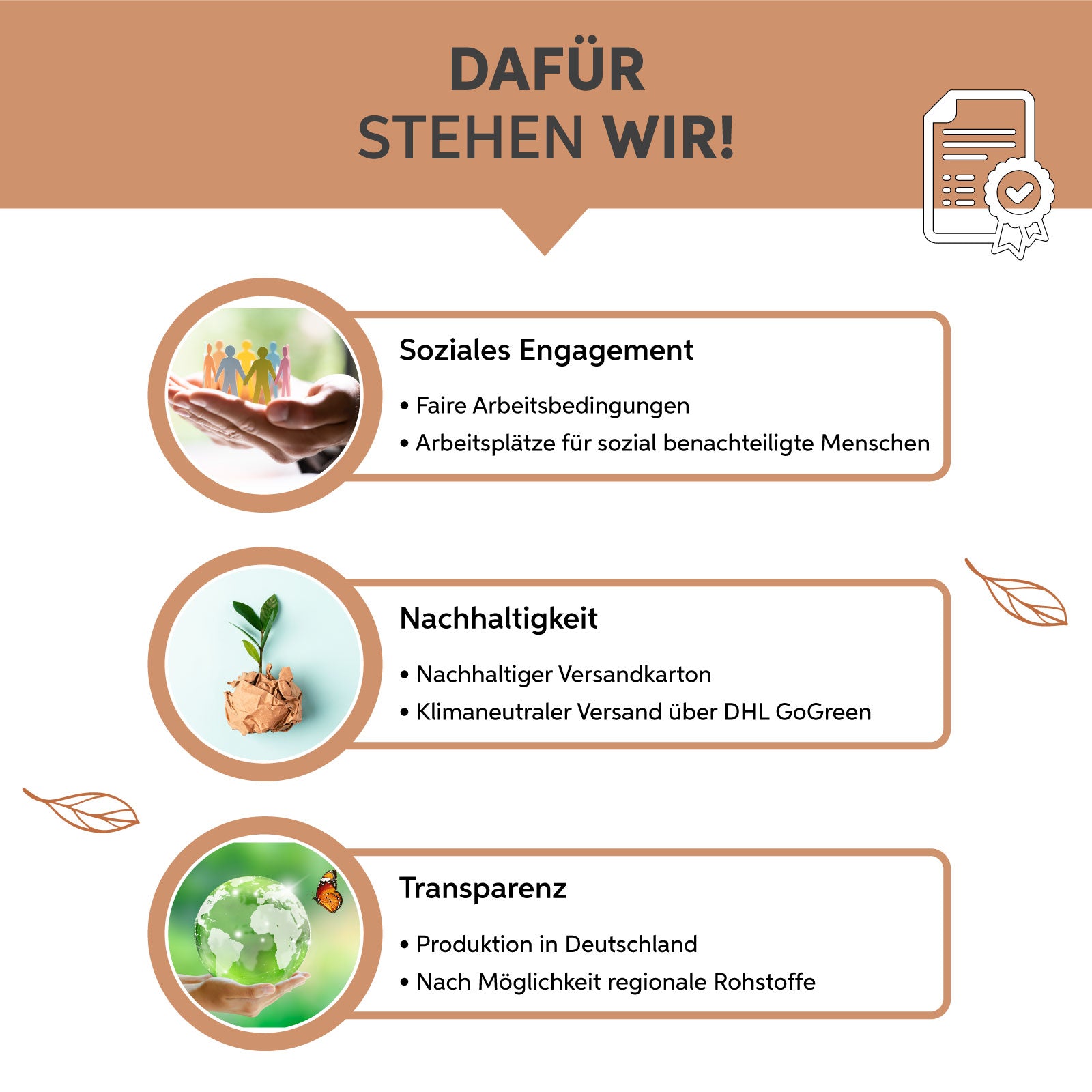 Bio Ceylon Zimt Kapseln