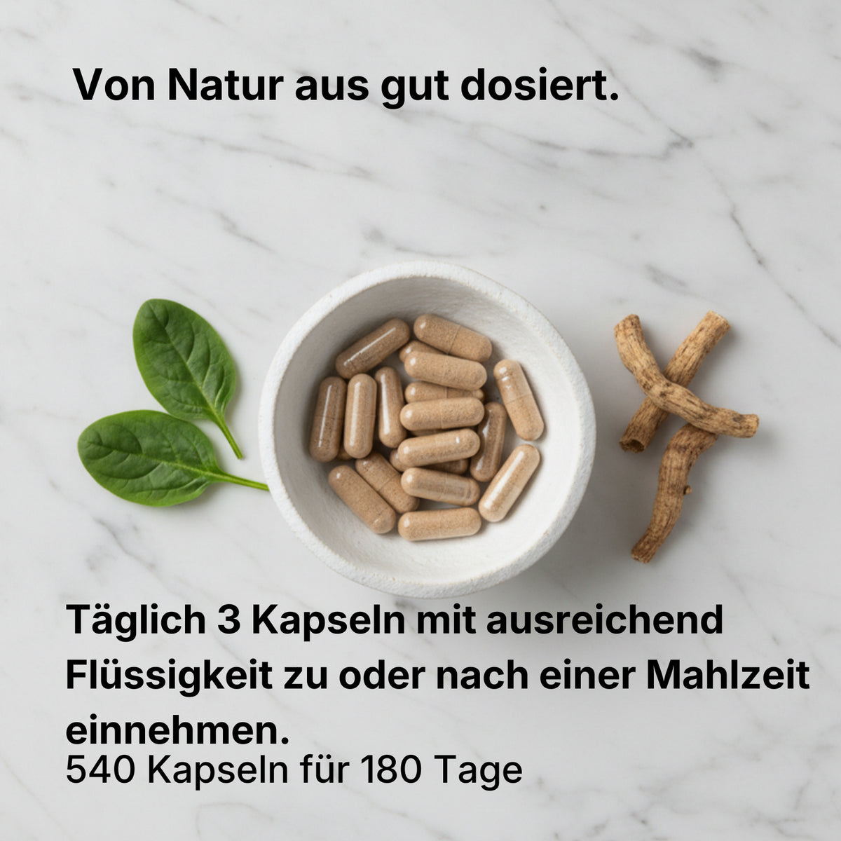 Bio Ashwagandha Kapseln 180
