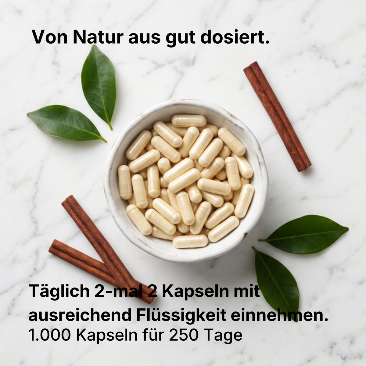 Bio Ceylon Zimt Kapseln