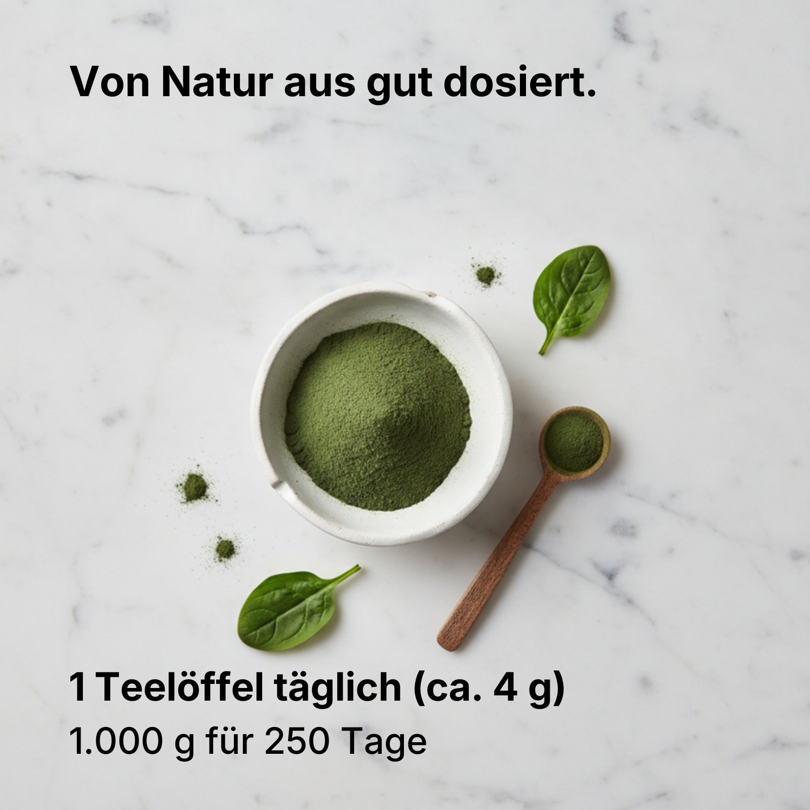 Bio Chlorella Pulver