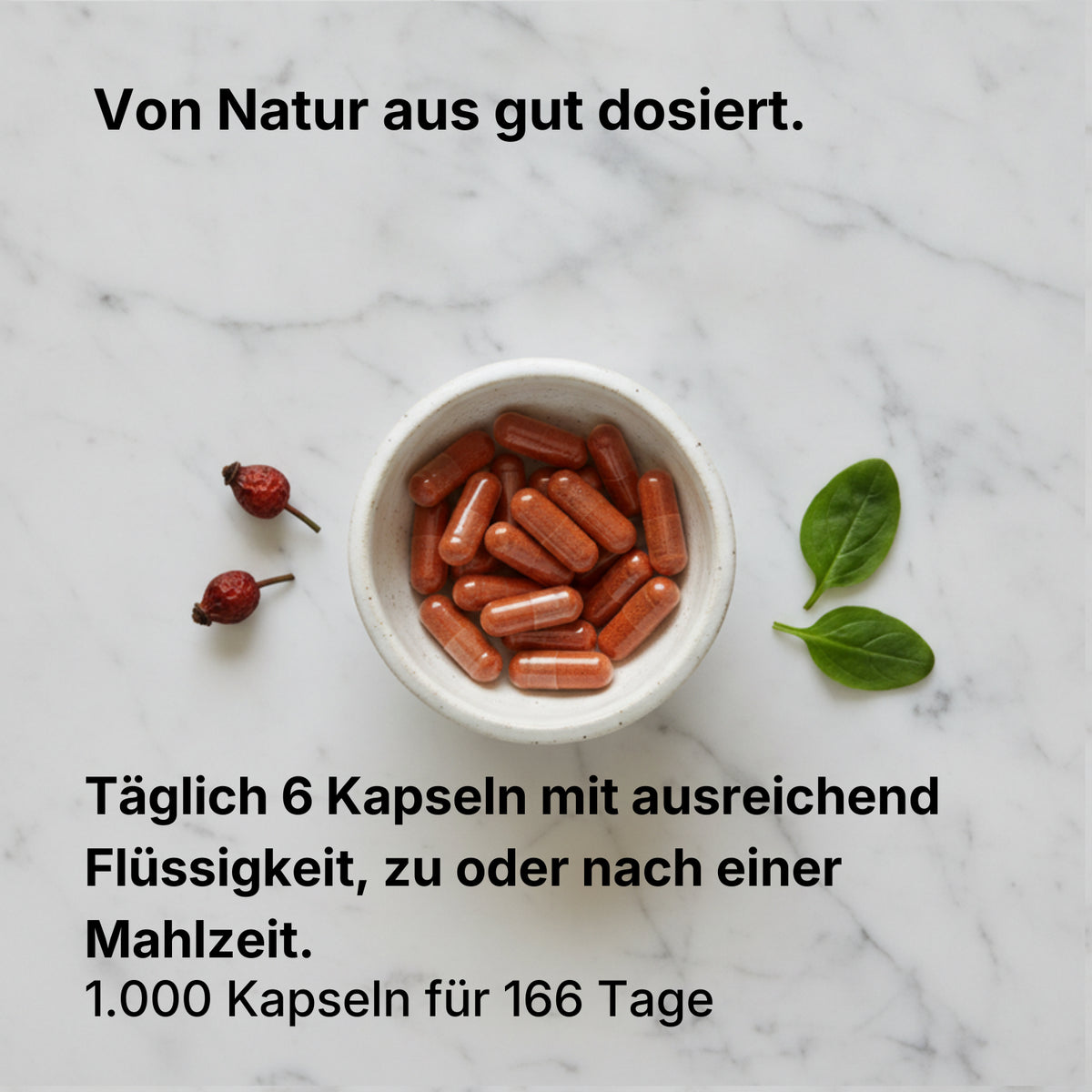 Bio Hagebutten Kapseln