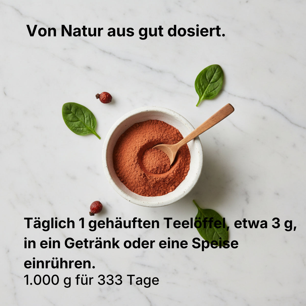 Bio Hagebutten Pulver