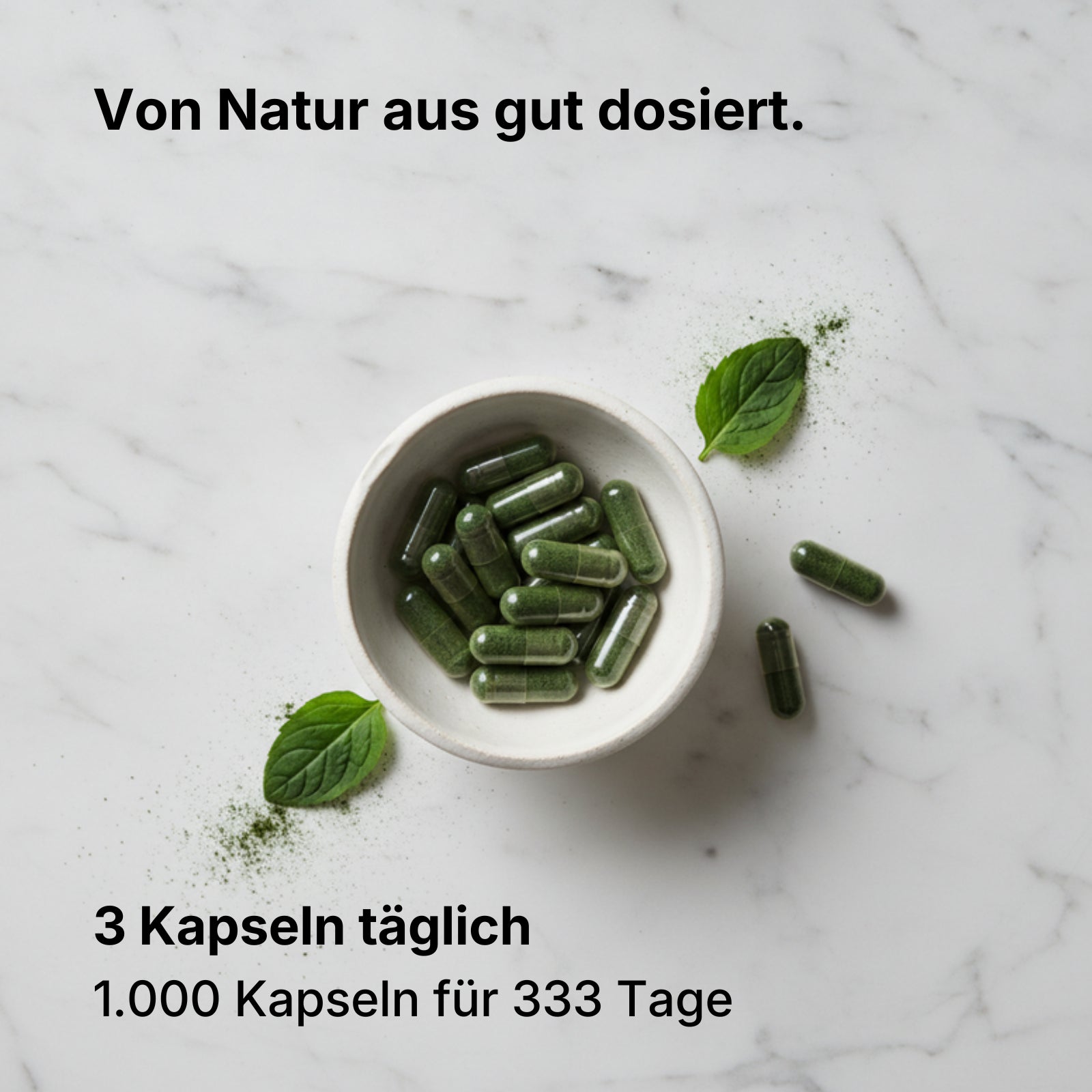 Bio Moringa Kapseln