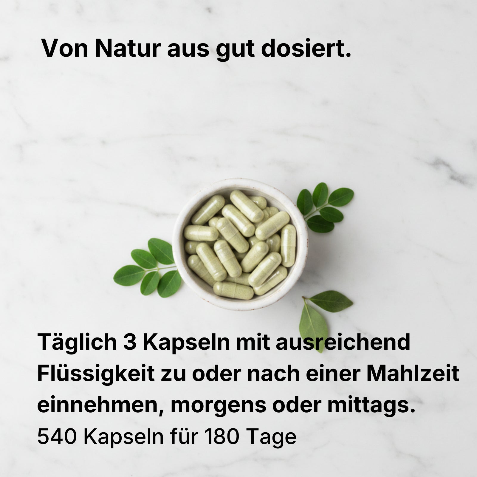 Bio Moringa Oleifera Kapseln 180