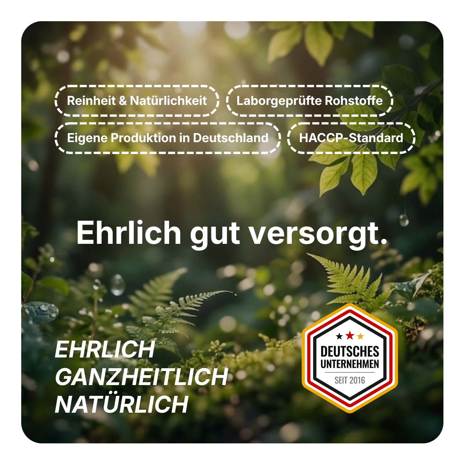 Bio Moringa Oleifera Kapseln 180