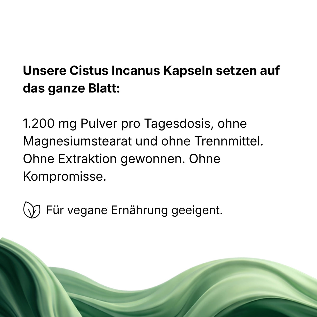 Cistus Incanus Kapseln