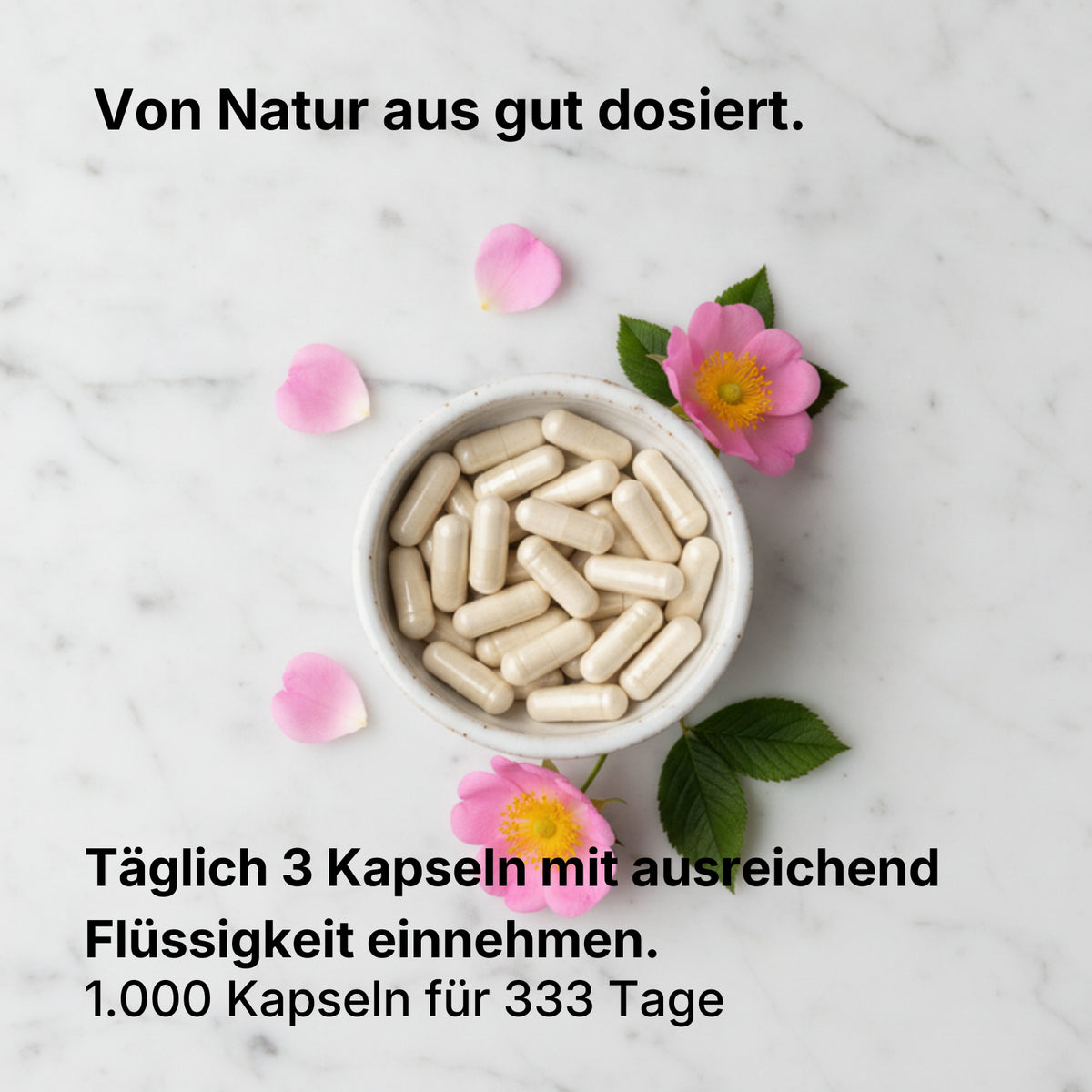 Cistus Incanus Kapseln