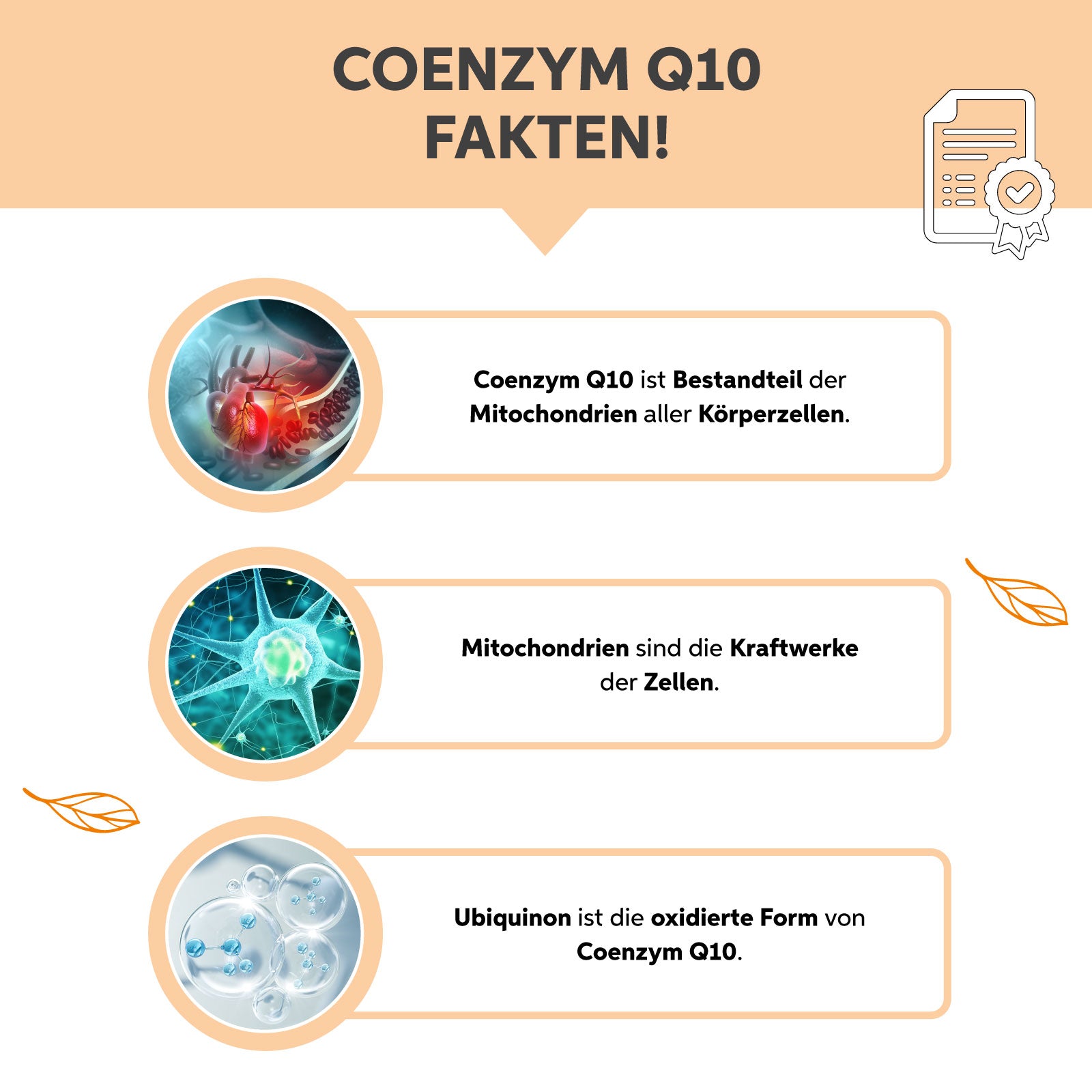 Coenzym Q10 Kapsel hochdosiert 200mg/Kapsel