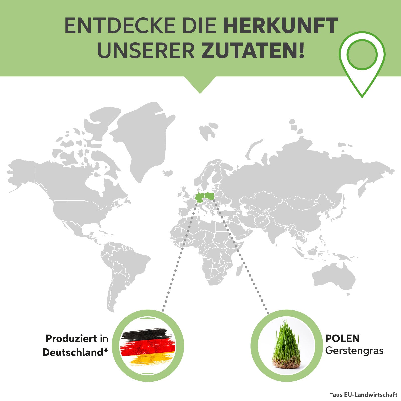Gerstengras Pulver