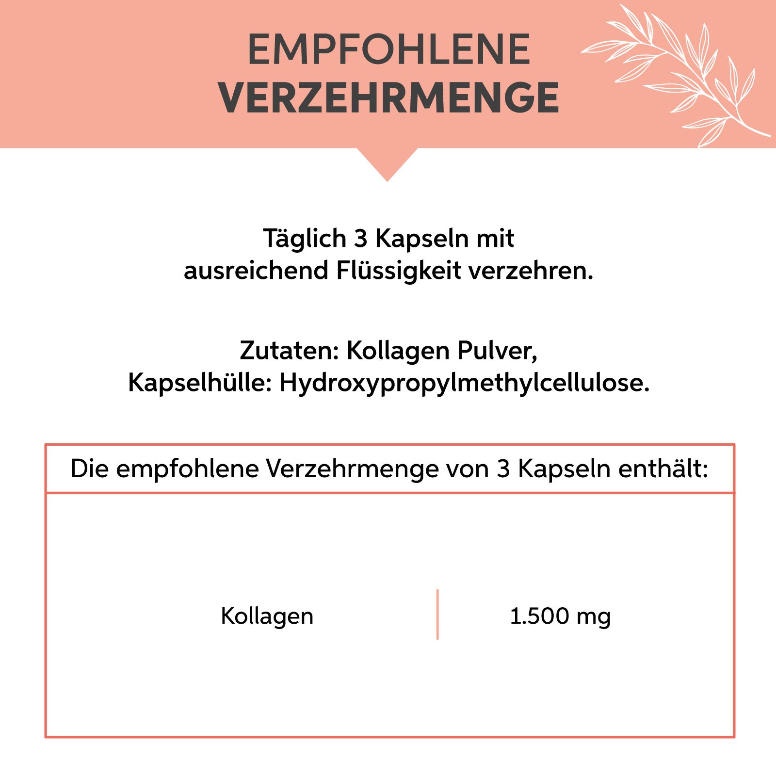 Kollagen Hydrolysat Kapseln