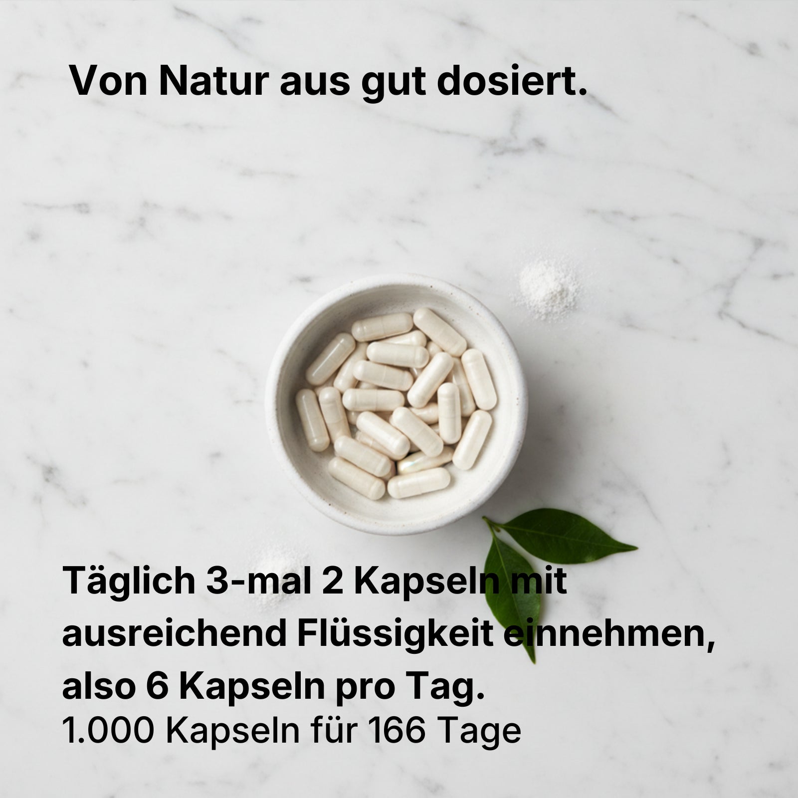 L-Arginin Base Kapseln