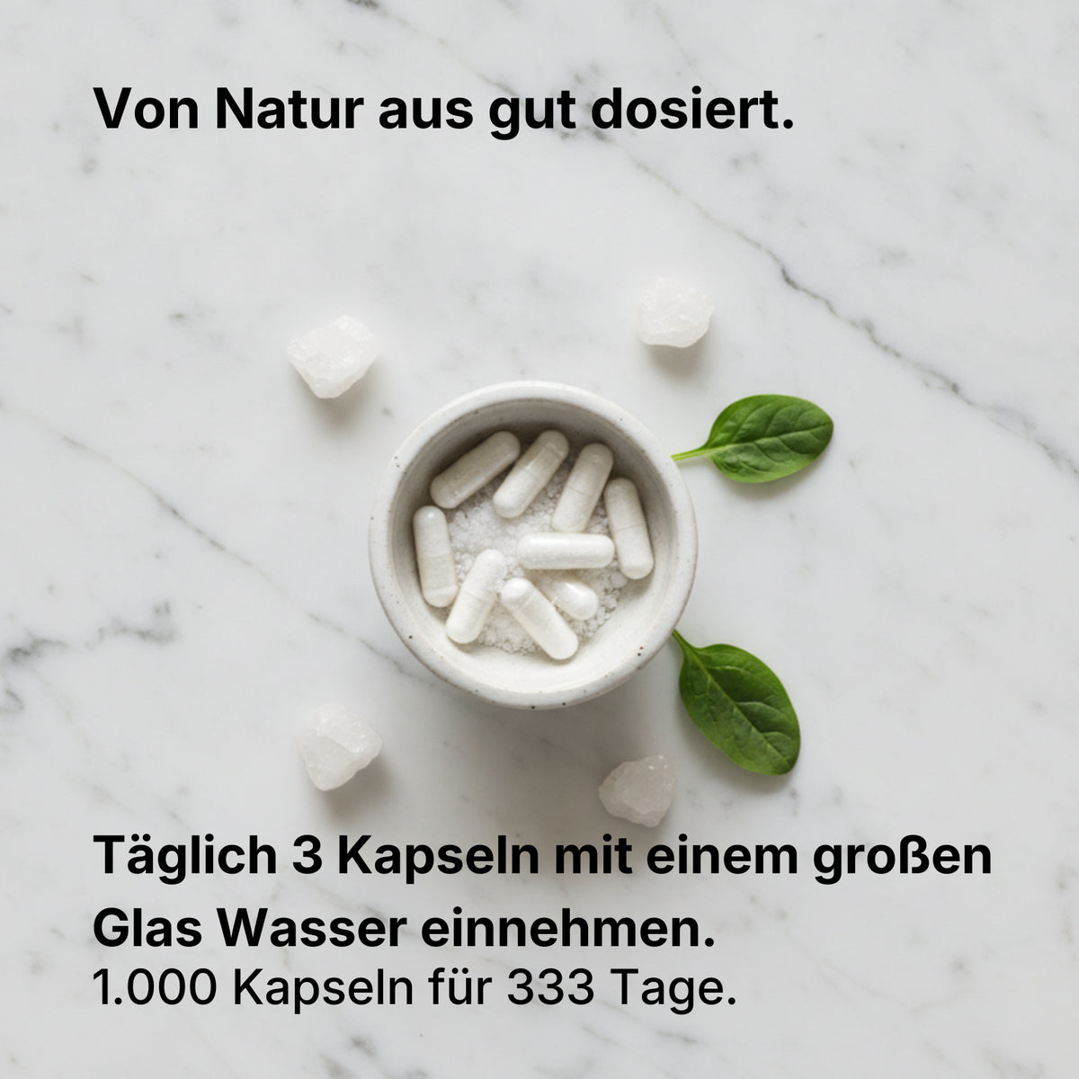 MSM-Kapseln