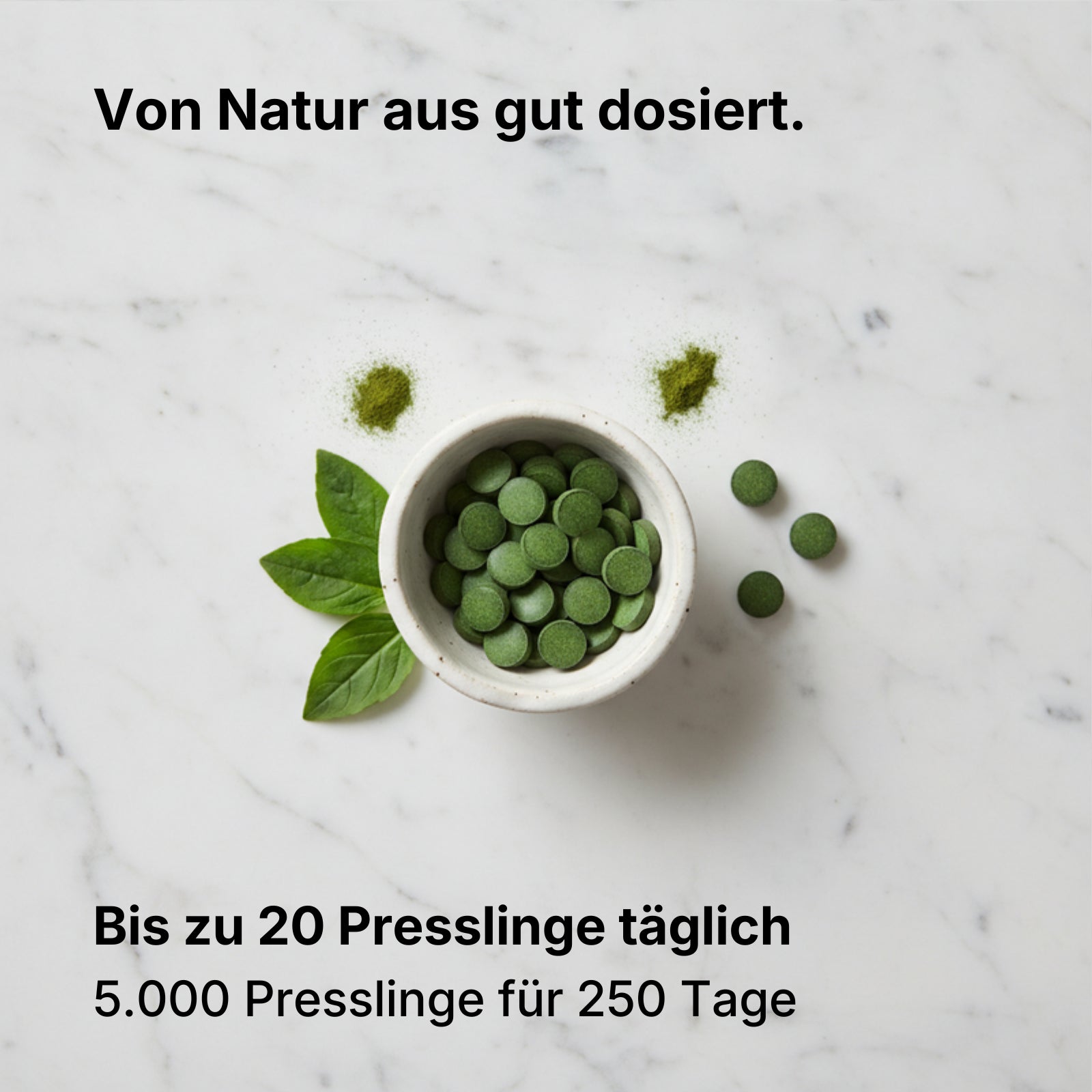 Moringa Presslinge
