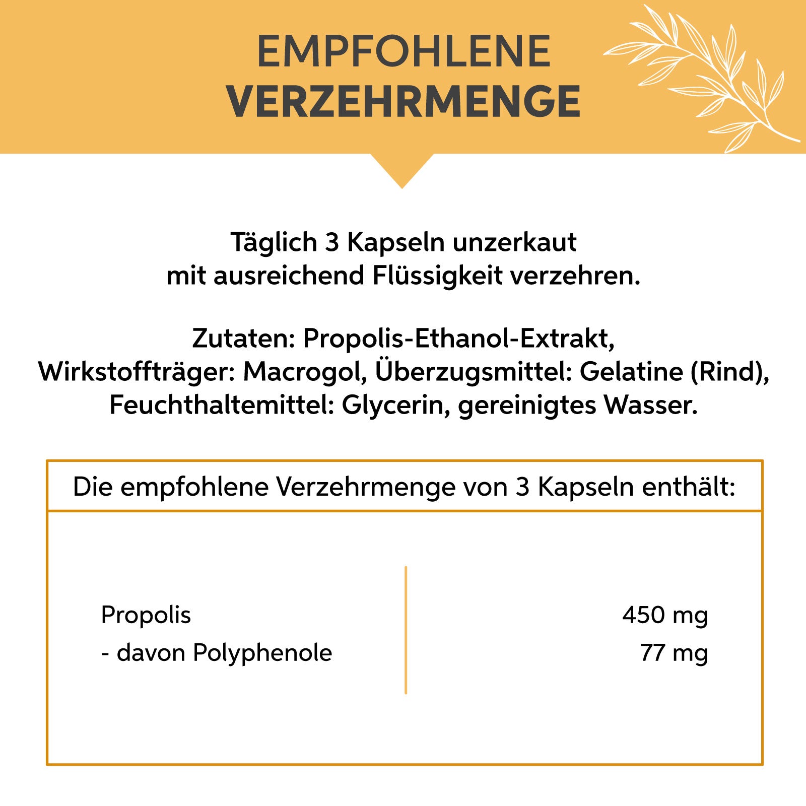 Propolis Kapseln