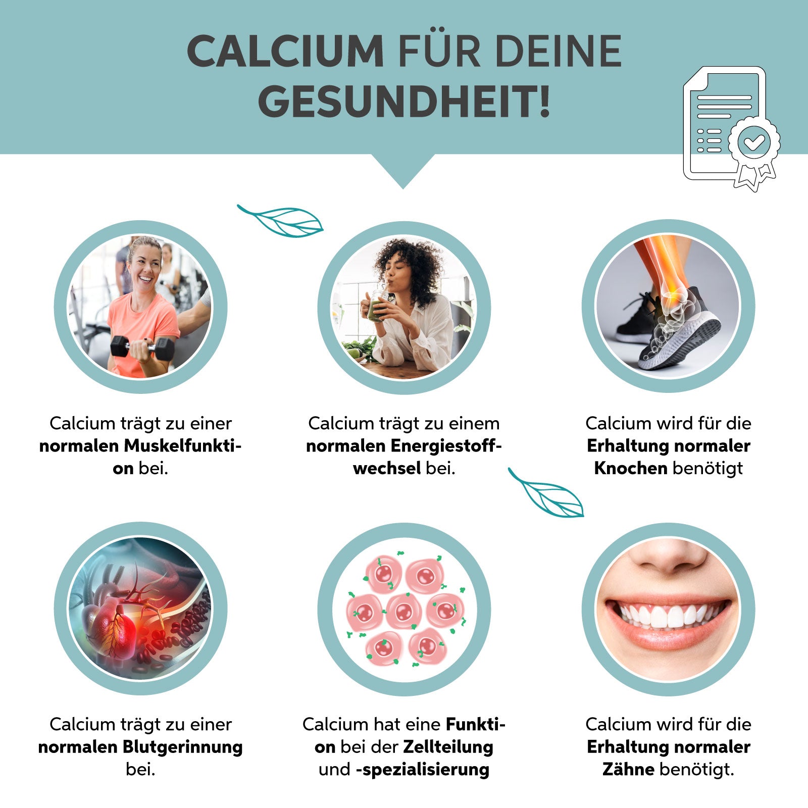 Sango Meereskoralle Pulver