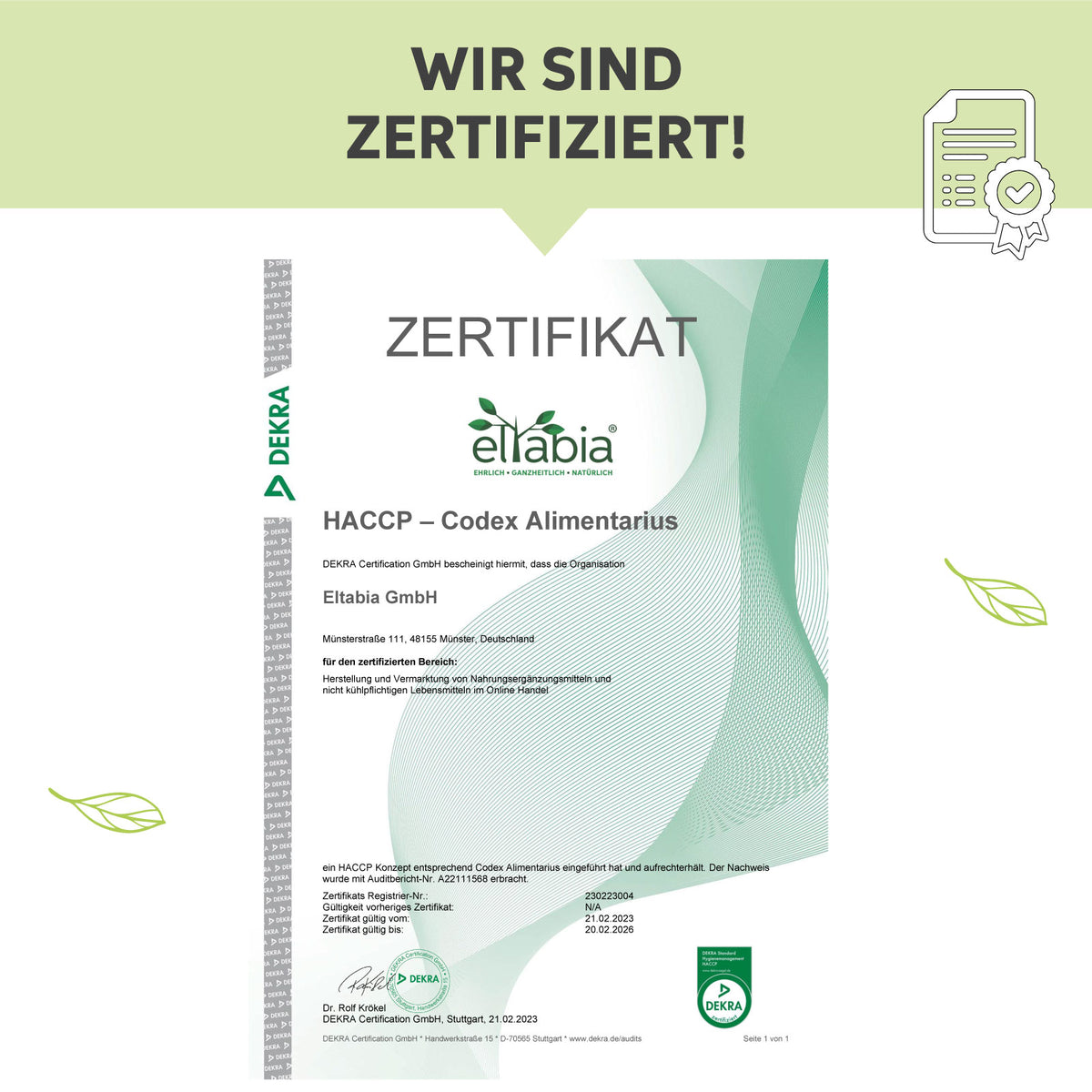 Weizengras Pulver