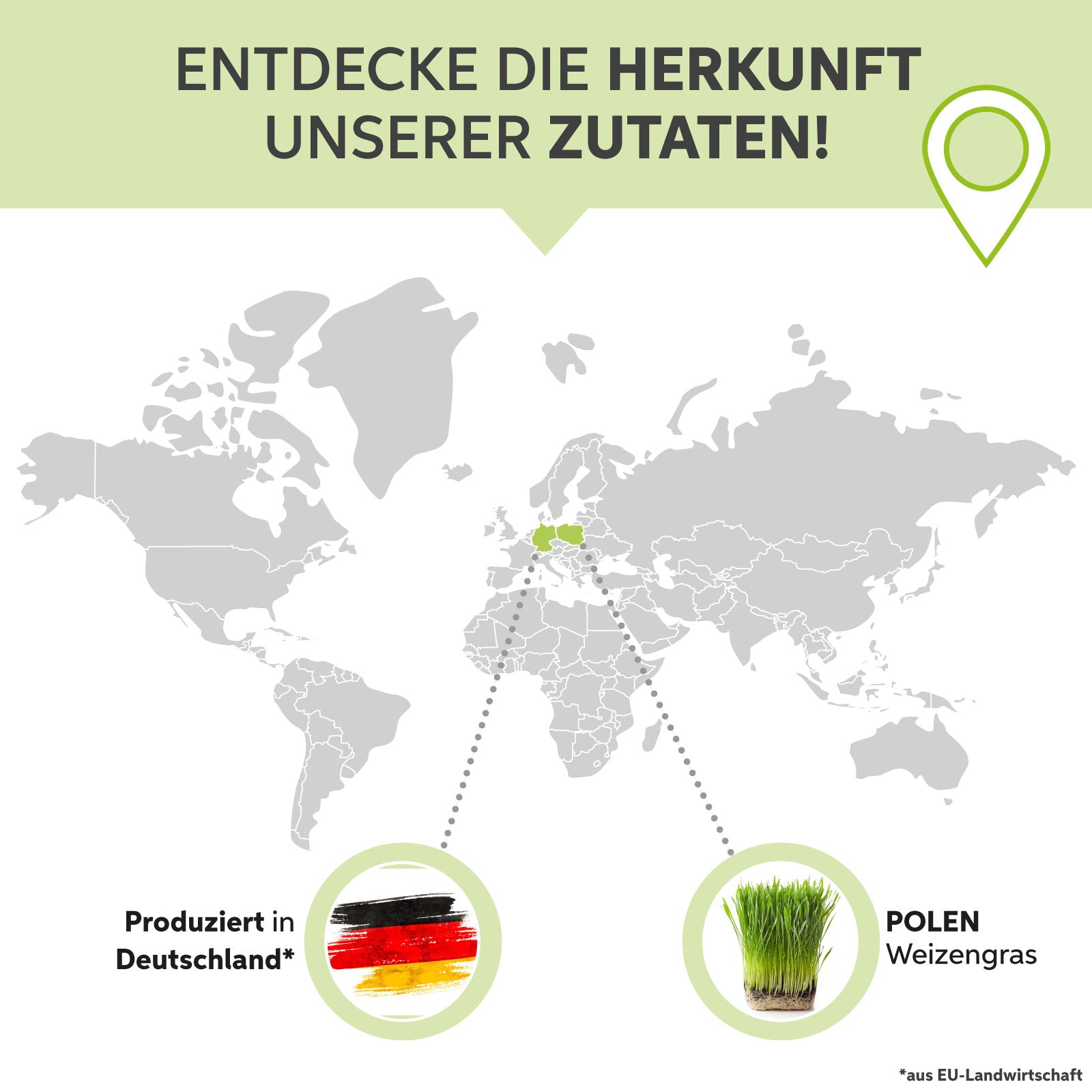Weizengras Pulver