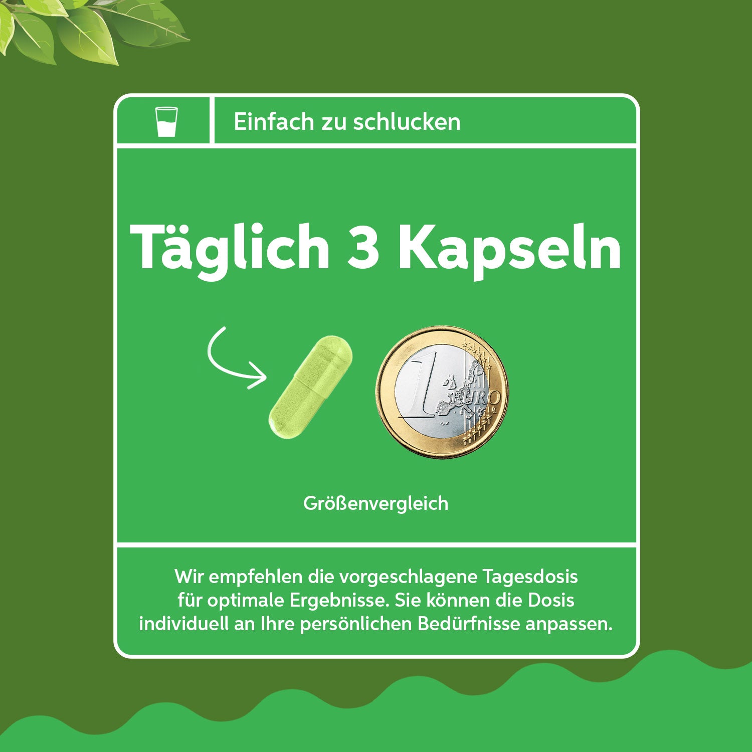 Bio Moringa Oleifera Kapseln 180
