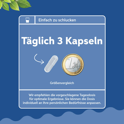 Magnesiumcitrat Kapseln 180