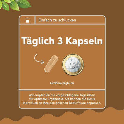 Bio Ashwagandha Kapseln 180