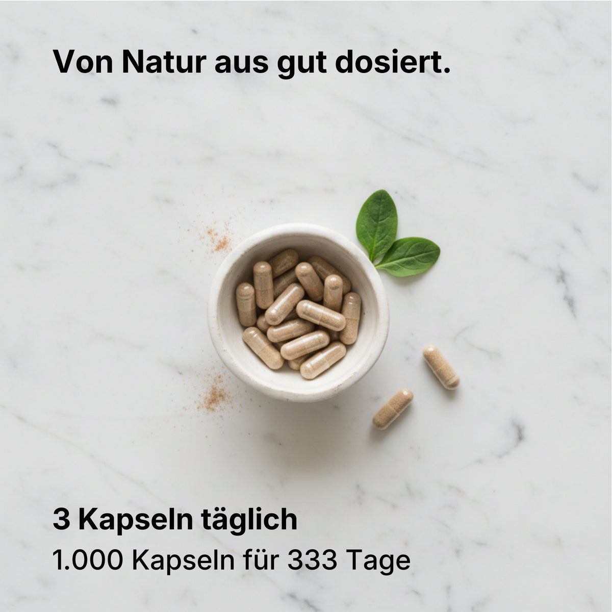 Bio Ashwagandha Kapseln