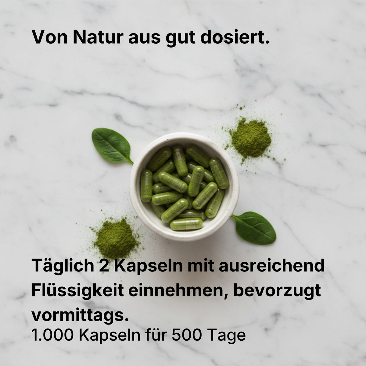 Bio Matcha Kapseln