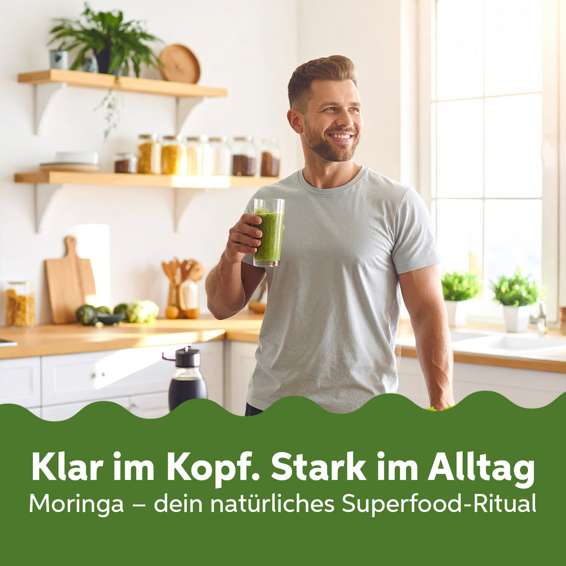 Bio Moringa Oleifera Kapseln 180