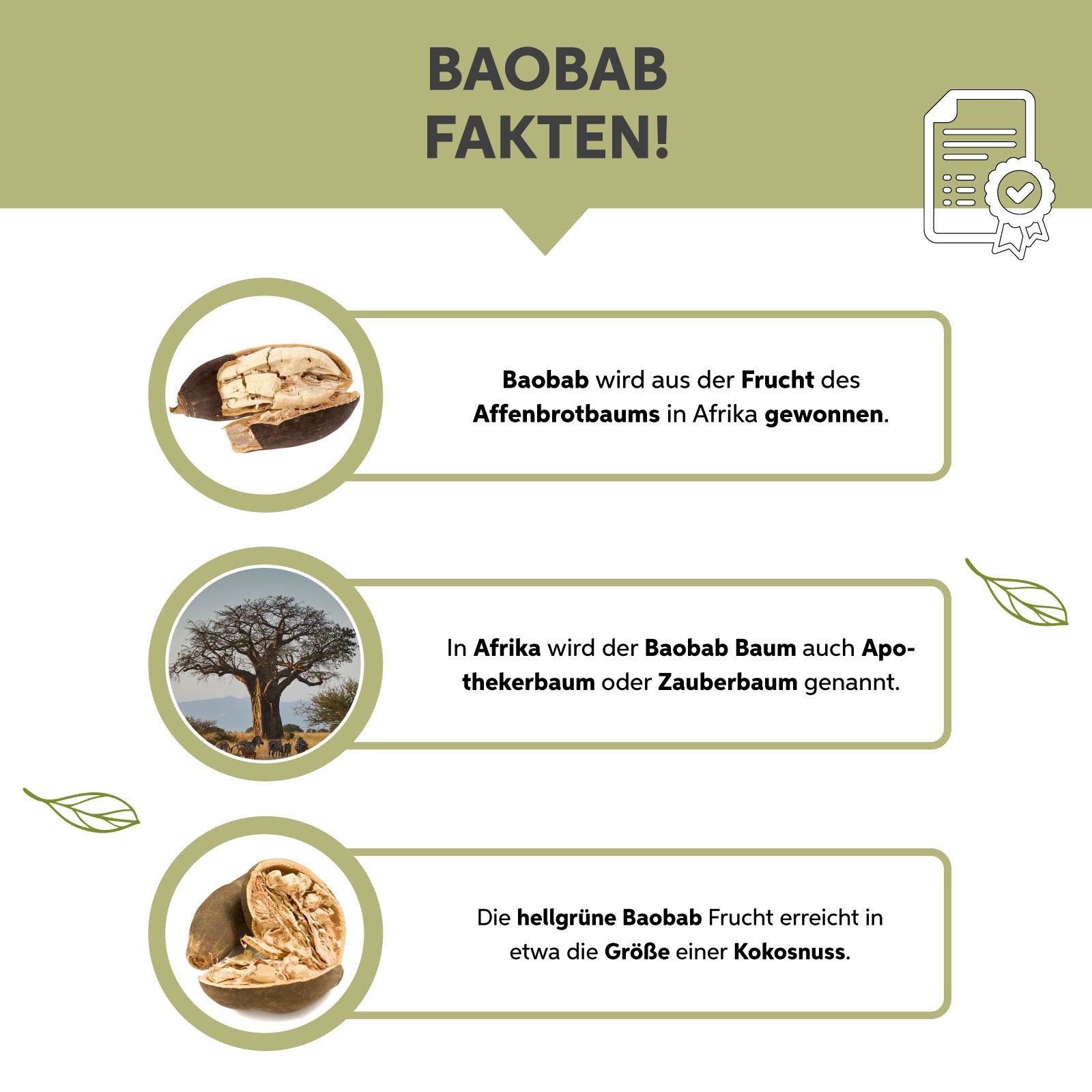 Bio Baobab Pulver