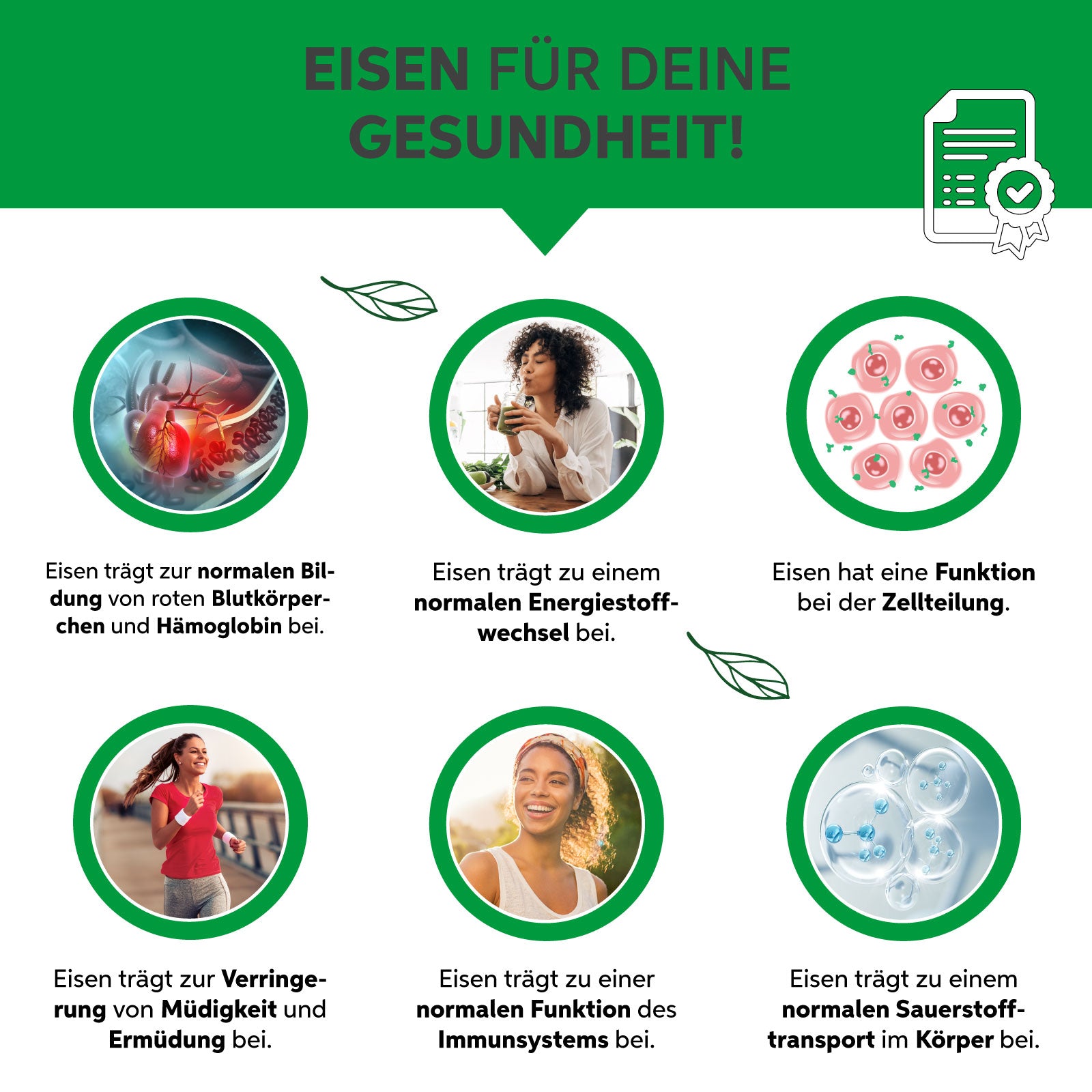 Bio Chlorella Pulver