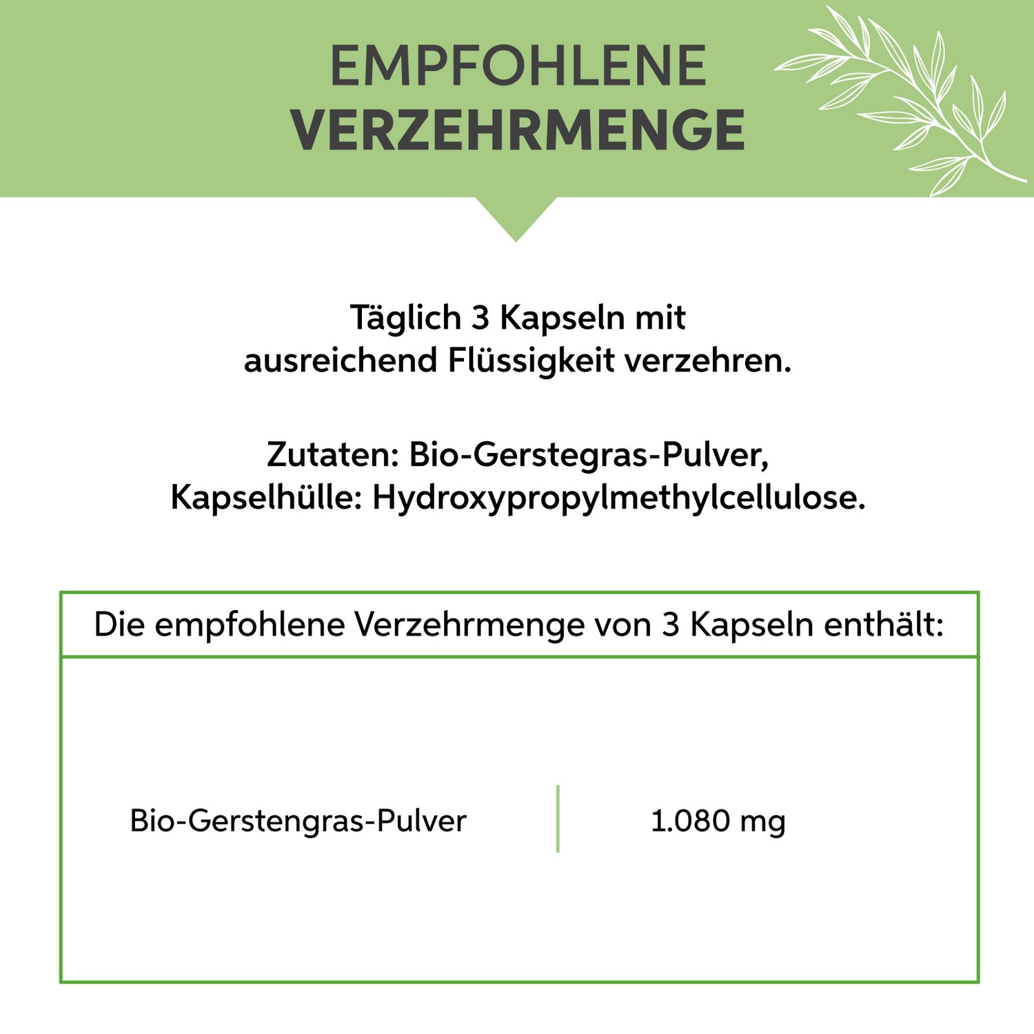 Bio Gerstengras Kapseln