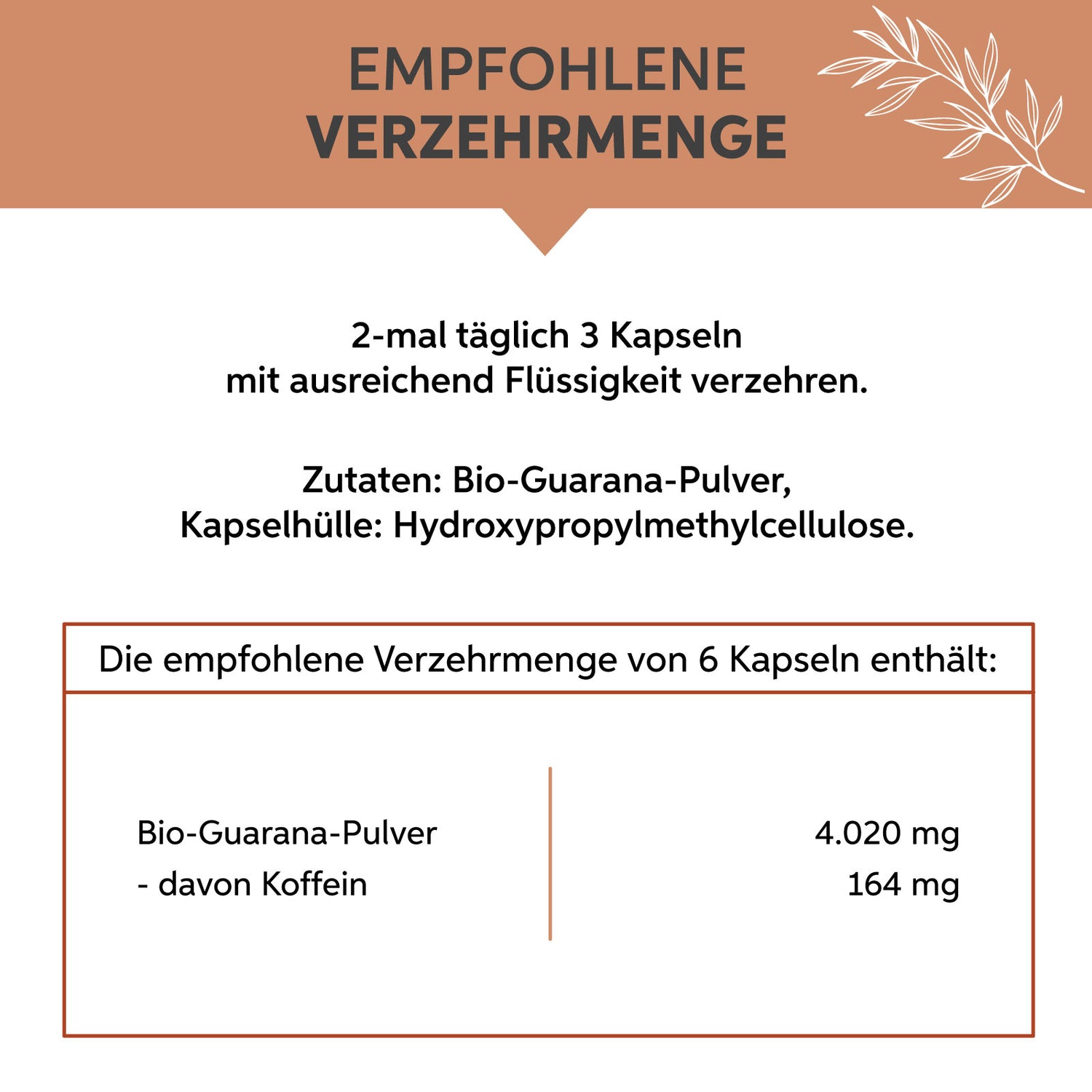 Bio Guarana Kapseln